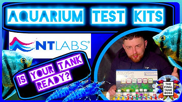 How to Test Aquarium Water (Step-By-Step) — NT Labs Aquarium Lab Kit FULL Guide