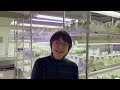 国立科学博物館 植物研究部 堤千絵 インタビュー（2023年度クラウドファンディング「科博コレクション図鑑」特典動画）