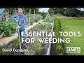 David domoney what tools are essential for weeding in the garden