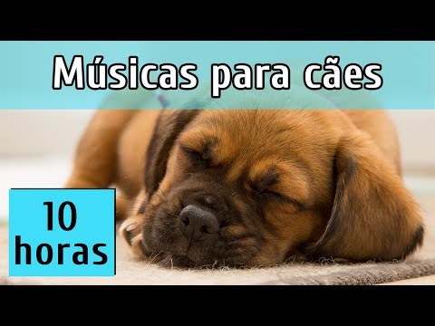 [Sem anúncios] MÚSICAS