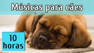 Passeava o pé cão enquanto adormecer