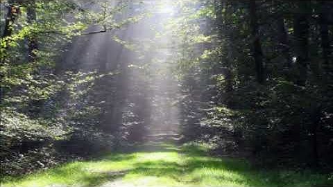 سورة البقره كامله بصوت عبدالمحسن الحارثي