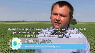 Aumentare la resa/ettaro: Agroleaf Power su patate [miglior raccolto miglior guadagno] (sub ita)