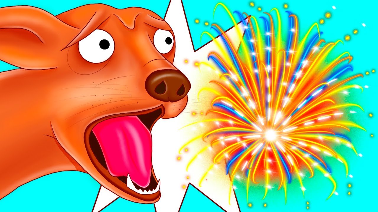 Why Dogs Like Squeaky Toys Sound but Not Fireworks