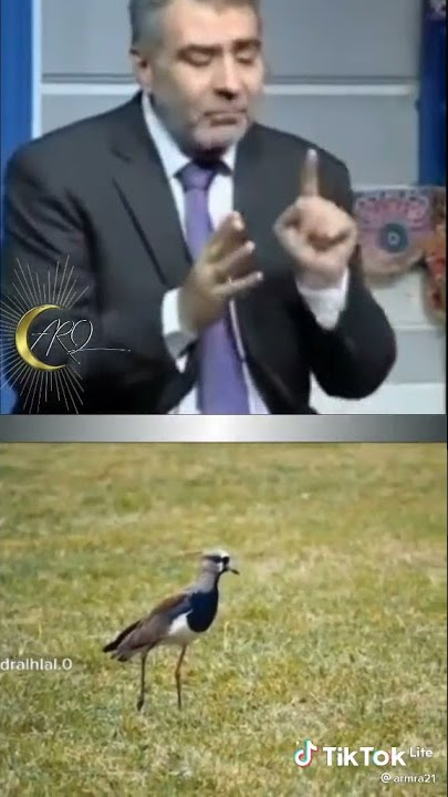 BURUNG YANG MENGELUARKAN API...