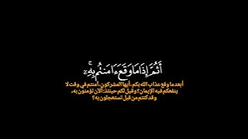 قل أرأيتم إن أتاكم عذابه بياتا أو نهارا|سورة يونس|كروما قرآن القارئ طارق محمد