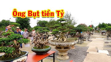Xuất hiện ông bụt tiền Tỷ, nhiều tác phẩm tầm trung quá đẹp tại triển lãm, sanh nam điền, si