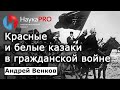 Красные казаки и белые казаки в ходе гражданской войны на Дону – Андрей Венков | История казачества