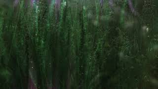yuutsu - petrichor [full ep]