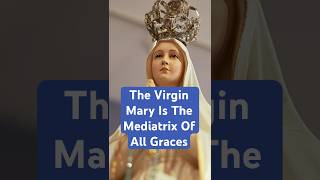 Fr. Nicholas Gruner: The Virgin Mary Is the Mediatrix of All Graces #catholicdevotion
Amidst the controversy stirred by a recent Vatican document discouraging the use of the Marian titles Mediatrix of All Graces and Co-Redemptrix, this short clip revisits the timeless Catholic teaching passionately explained by Fr. Nicholas Gruner reminding us of the Church’s enduring belief that the Blessed Virgin Mary, through Her unique cooperation with Christ the Redeemer, is the channel through which every grace flows to humanity.
The Message of Fatima is the ONLY solution to the grave crises facing the Church and the world today. LEARN MORE about Our Ladys Message: » www.fatima.org
Please help us spread the saving Message of Our Lady of Fatima.
Donate to Our Lady’s Apostolate Today! » www.fatima.org/donate
Subscribe and stay up-to-date on the latest shows.
Contact Us:
» PHONE: 1-800-263-8160
» EMAIL: info@fatima.org
Follow Us:
» FACEBOOK: www.fb.com/TheFatimaCenter
» INSTAGRAM: www.instagram.com/the_fatimacenter
» TWITTER: www.twitter.com/TheFatimaCenter
» RUMBLE: www.rumble.com/thefatimacenter
» PODCAST: www.fatima.org/podcast
The Fatima Center’s mission is to ensure that the entire Message of Fatima is fully and widely known, accurately understood, and properly acted upon so that Our Lady’s purpose in coming to Fatima – the salvation of souls and the prevention of catastrophic chastisements – may be realized.
Directed since 1978 by Fr. Nicholas Gruner († 2015), The Fatima Center remains faithful to this mission today. Fr. Nicholas Gruner: The Virgin Mary Is the Mediatrix of All Graces #catholicdevotion