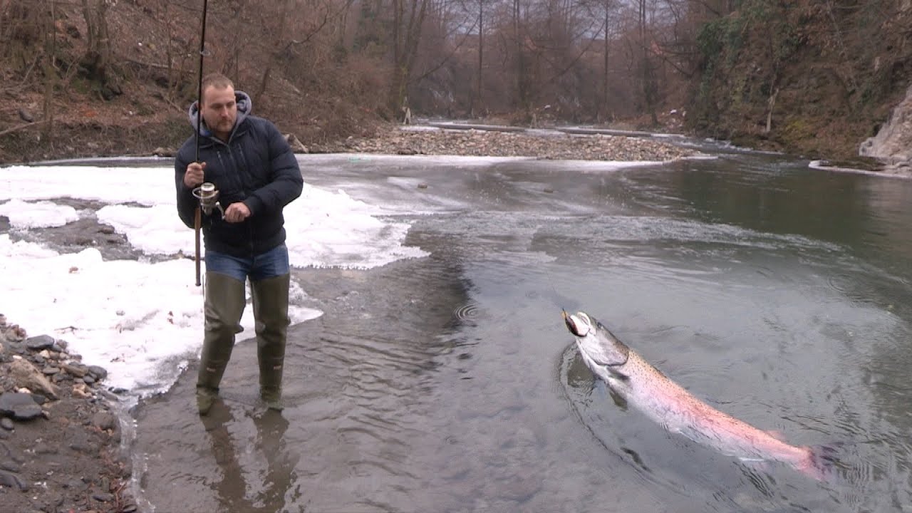 Pecanje mladice na reci Moravici kod Ivanjice - Varaličarenje i mušičarenje | Fishing Hucho Hucho