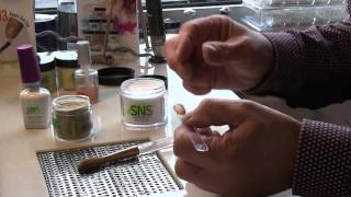 SNS Nail System (displaying your colour samples) Net Worth