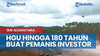 Bukan Mengemis, HGU Hingga 180 Tahun Buat Pemanis Investor Masuk ke IKN Nusantara