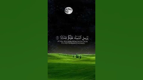 فقلت استغفروا ربكم إنه كان غفارا يرسل السماء عليكم مدرارا } بصوت القارئ الشيخ ماهر المعيقلي
