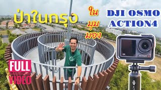 ป่าในกรุง จากมุมมอง DJI OSMO ACTION4