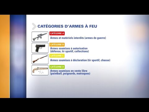 Vidéo: De quoi avez-vous besoin pour obtenir un permis d'armes ?