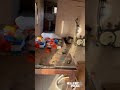 Ηλεία: Έφοδος της ΕΛΑΣ για τη σύλληψη διακινητών ναρκωτικών στον Πύργο – Βίντεο