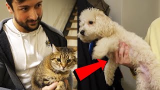 BATURAYIN KÖPEĞİYLE KEDİMİ TANIŞTIRDIM !! Vlog #1@NDNGBaturay @merteren1