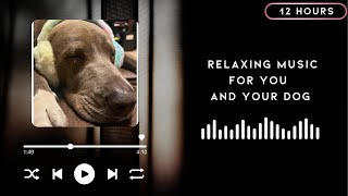 Relaxing Deep Sleep Music for you and your Dog| Holiday Relaxation by The Wolf and Bears 117 views 5 months ago 11 hours, 59 minutes