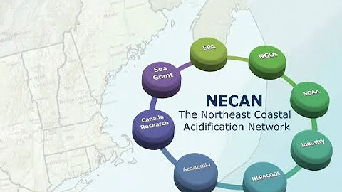 NECAN Industry Webinar Series: Brian Beal