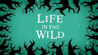 Life in the Wild by Dan DeWitt