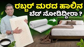 A Bed Made Out of Rubber Tree Milk!! - Sleeping JOY