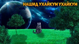 ✅Очень красивый нашид❤|Nasheed-Ухайкум Ухайкум