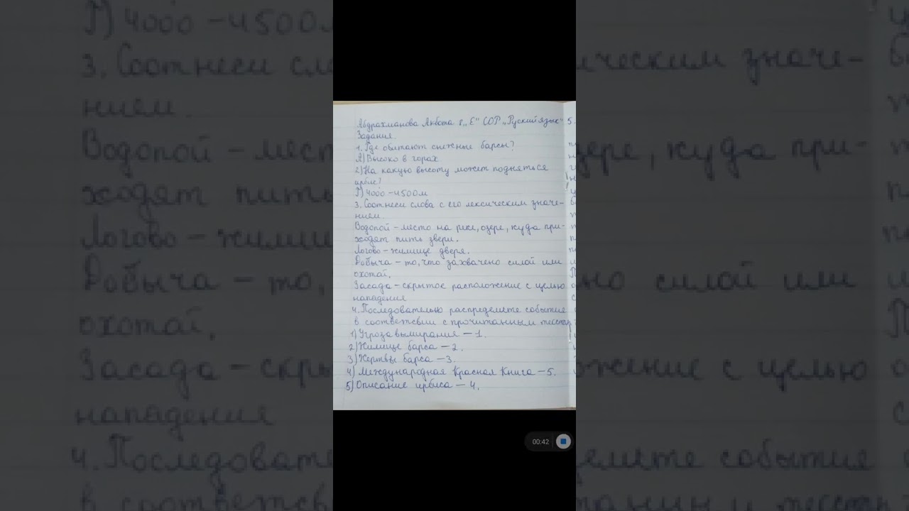 8-сынып орыс тілі БЖБ 3-токсан - YouTube