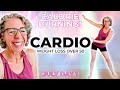 Fun WALKING Cardio Party🎵 Over 3000 Steps!