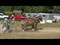 Tire de chevaux Maricourt 2018