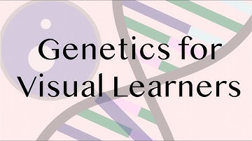 Intro to Mendelian Genetics & the Punnett Square