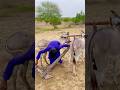 ه ذ ا ال م ح ر اث ل ي س ت ر ك ت ور ا ب ل ي ج ر ه ال ح م ير ه ذ ا ال م ح ر اث ل ي س ت ر ك ت ور ا ب ل ي ج ر ه ال ح م ير