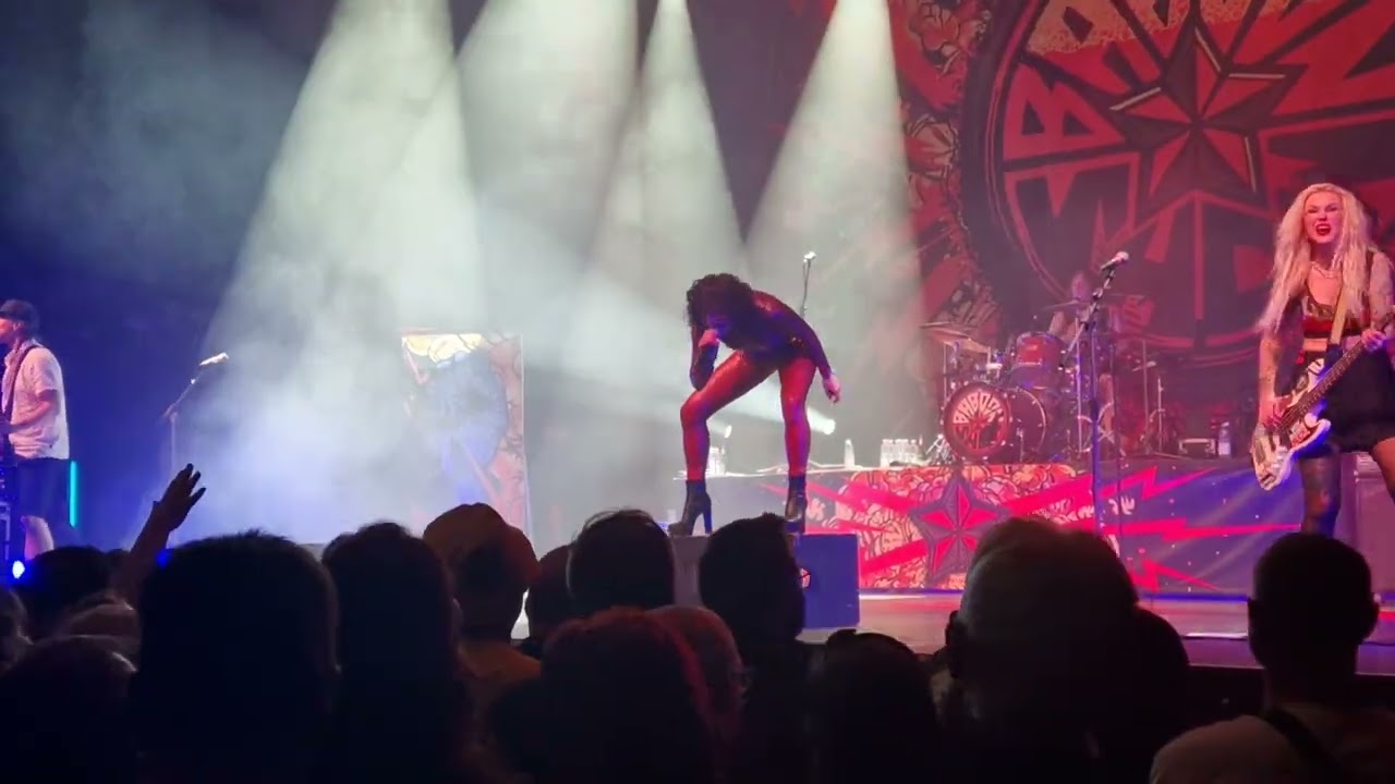 The Baboon show 08.03.2025 Schlachthof Wiesbaden - No afterglow