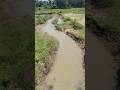 Man vs wild 🤣🤣🤣🤣🤣#video #youtubeshorts #assam #funny