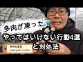 【多肉】多肉が凍ったときの「NG行動4選」と「対処法」　多肉生産者「pukupuku taniku」