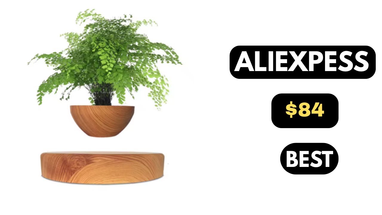 Best Floating Plant Pot 2025 | Magnetic Levitating Air Bonsai Planter Review
