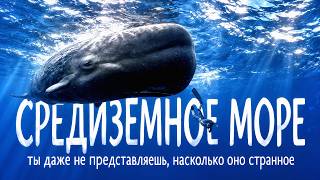 СРЕДИЗЕМНОЕ МОРЕ – САМОЕ НЕОДНОЗНАЧНОЕ МОРЕ. КАКИЕ ТАЙНЫ ОНО СКРЫВАЕТ | ДОКУМЕНТАЛЬНЫЙ ФИЛЬМ
