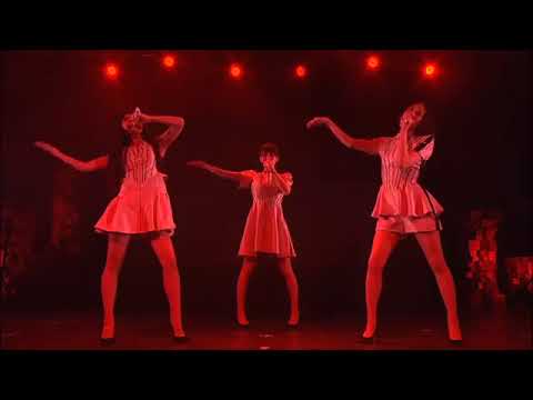 perfume world tour 1st