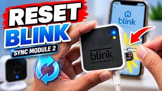 Blink Sync Module 2 को ऐप के बिना रीसेट कैसे करें (स्टेप-बाय-स्टेप)! screenshot 1