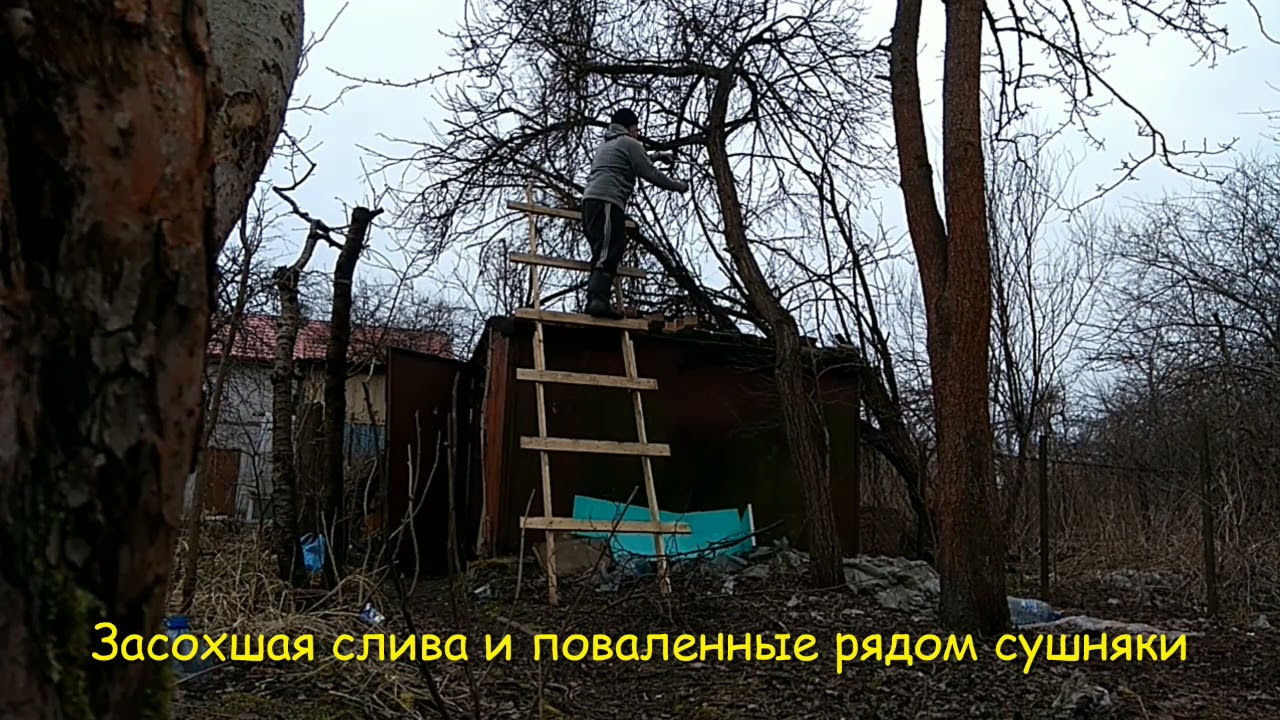 Весна!пора пилить и убирать!Spring is time to nag and clean up!