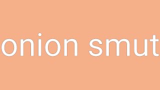 Onion Smut Definition & Meaning
