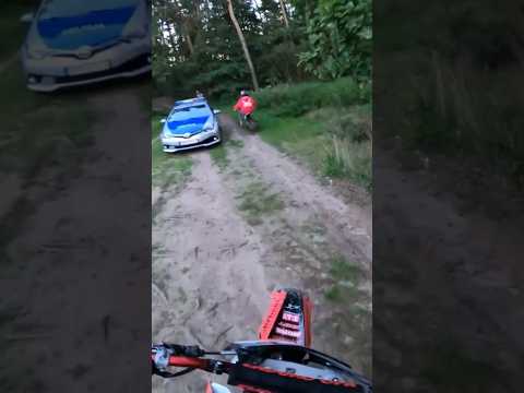 Policja w lesie,