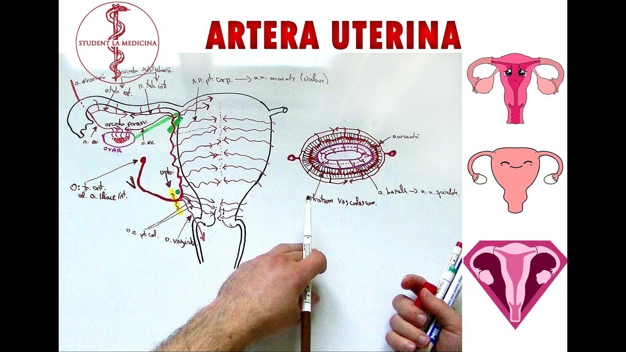 remedii populare eficiente din varicoză varicoză în partea de jos a burției