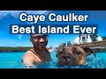 Caye Caulker Belize - Coolest Island Ever / Met the Coolest Island Dog