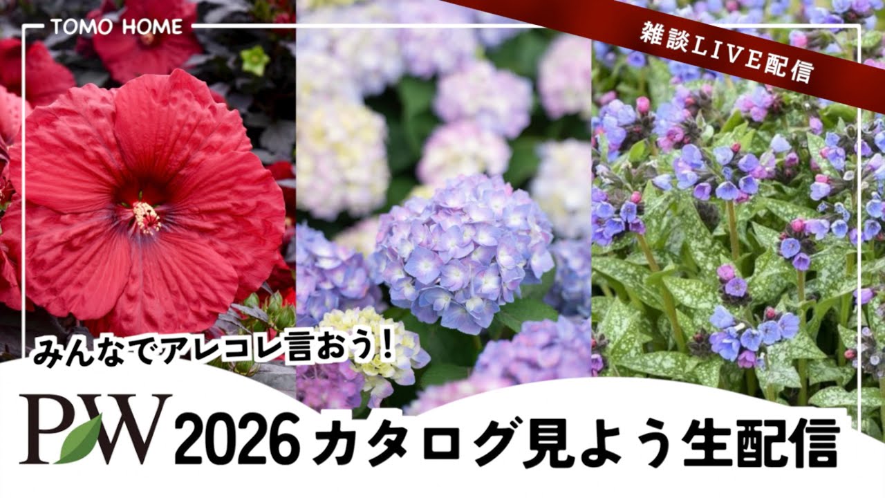 10/11 21:30〜】PWの新品種をみんなで見てアレコレ言おう生配信 - YouTube