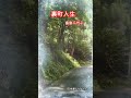 お千代さん聴きながらドライブ、