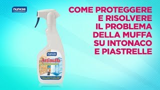 Il Segreto Per Togliere La Muffa Dai Muri Definitivamente E Non Farla Tornare Mai Più
