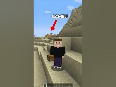 Can you put a chest on a Minecraft Camel? #minecraft #minecraftshorts