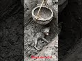 বিড়াল টি ওপরে উঠার জন্য কান্না করেছ | শেষে কি হলো  | #shorst #shorts #animalshorts #widecalves