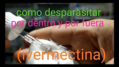 Como usar Ivermectina em aves?